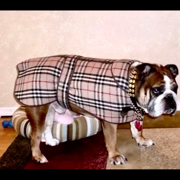 Burberry Other - Burberrys vintage wool thick dog coat 22x55 cm
